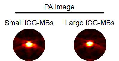 ICG를 담지한 마이크로 버블의 광음향 조영능 검증