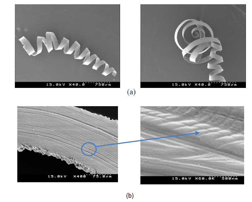 (a) Continuously curled chip under EVC method, (b) Chip-rake contact surface under 3D-UEVC