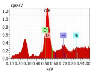 EDS analysis spectrum (before decontamination)