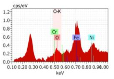 EDS analysis spectrum (after decontamination)