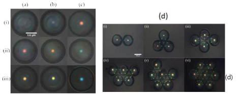 Optical microscopy reflection-mode images of the CLCsolid shells prepared at ϕ = (i) 19, (ii) 24, and (iii) 28 wt% (a) before UV curing, (b) after UV curing, (c) after UV curing and dopant extraction, and (d) cross-communication patterns of (i) two, (ii) three, (iv) four, (v) five, and (vi) six pairs of the CLCsolid shells (ϕ = 19 wt%)