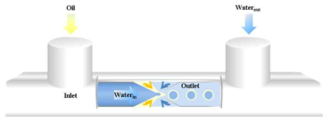 Microfluidics를 사용하여 CLC 셀의 제조 모식도