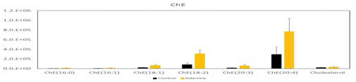 아데닌 모델에서 증가한 CE의 지방산 분석