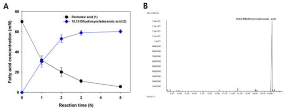 재조합 대장균 기반 전세포 생촉매를 이용하여 리시놀레산 (●)으로부터 10,12-Dihydroxyoctadecanoic acid (◆)를 생합성한 결과 (A) 및 목표산물의 분리정제 결과 (B). 10,12-Dihydroxyoctadecanoic acid의 순도는 GC/MS를 이용하여 분석하였음