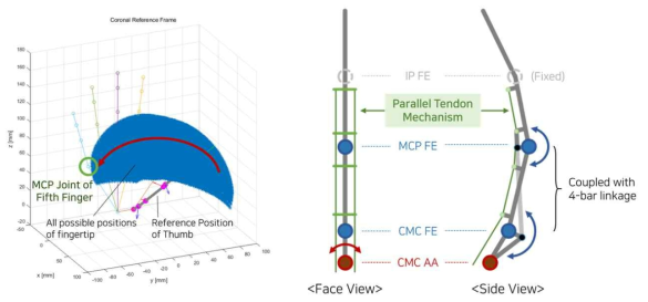 엄지 구동의 개념과 인간 엄지의 Workspace에 대한 최적화