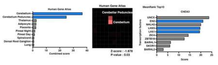 Transcriptom analysis using various expression profiles