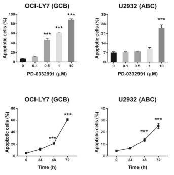 광범위 큰 B 세포 림프종 GCB 타입의 세포주인 OCI-LY7와 ABC 타입의 세포주인 U2932에서 PD-0332991에 의한 Annexin V 양성세포의 분포도 평가