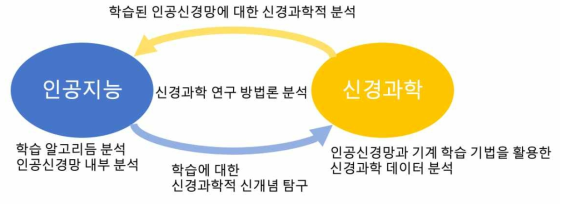 연구 개념도. 인공지능과 신경과학 두 분야를 중심으로 연차별 수행범위를 기입하였다