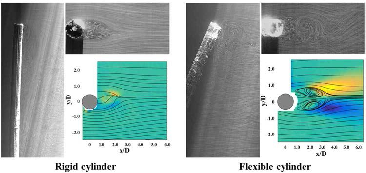 Comparison of flow visualization and PIV results of flows behind rigid and flexible cylinders