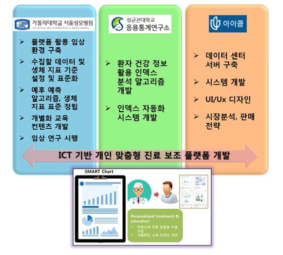 본 과제의 ICT 기반 진료 지원 시스템 개발 개념도