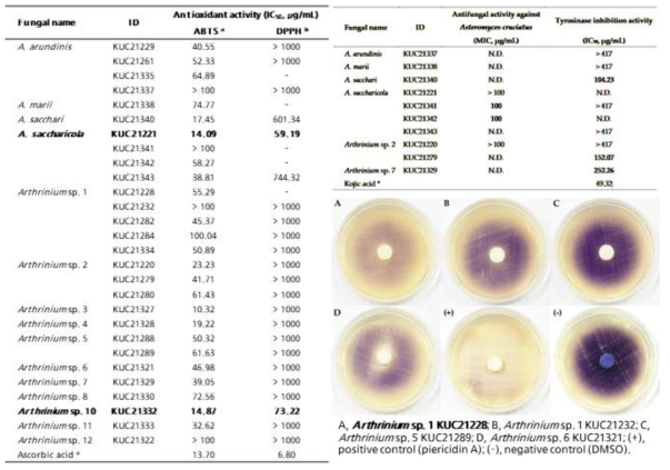 해양유래 Arthrinium 속 추출물의 정량적 생리활성 (표의 Arthrinium sp. 10 = 본 보고서의 Arthrinium sp. 1)