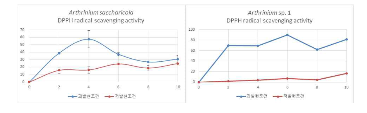 Arthrinium saccharicola와 Arhthrinium sp. 1의 과/저발현조건에서의 항산화활성