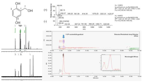 Arthrinium sp. 1 유래 항산화물질 구조동정 정보(왼쪽 위부터 chemical structure, MS spectrum, H-NMR and C-NMR spectrum, UV spectrum)