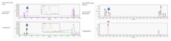 Arthrinium saccharicola 추출물과 gentisyl alcohol의 UPLC peak 및 UV spectrum 비교