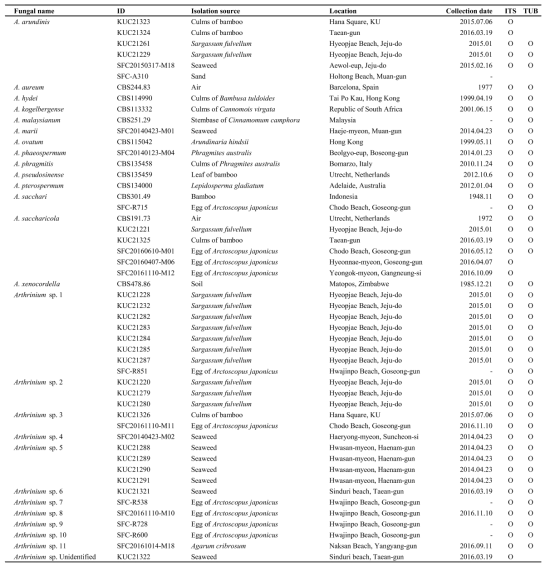 확보한 Arthrinium spp.의 분리원, 채집 장소, 채집일 및 분자생물학적 동정 정보