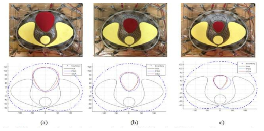 Experimental results for shape estimating of bladder using GSA for a multi-target scenario. (a) fully filled bladder (b) medium size bladder (c) small size bladder. The axis units are on a millimeter scale