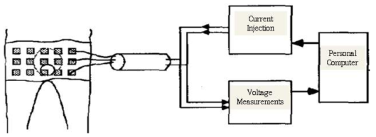 Schematic diagram of EIT system for bladder size estimation