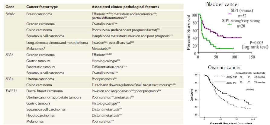 (Left) 다양한 EMT-유도전사인자 발현의 예후(생존율 및 전이) (Nat. Rev. Cancer 2007) (Right) ZEB2/SIP1 고발현과 불량한 생존율 관련성 (PNAS 2009; Oncotarget 2015)