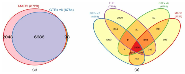 (a) GTEx v6 데이터를 이용하여 MARS가 발굴한 마커(eGene)와 GTEx consortium이 발굴한 마커의 수 비교. (b) GTEx v6 데이터를 이용하여 MARS가 발굴한 마커를 더 큰 데이터(더 큰 파워를 가지는)인 GTEXv7과 FHS데이터를 통해 검정