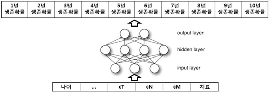 MLP 모델 분석 흐름도