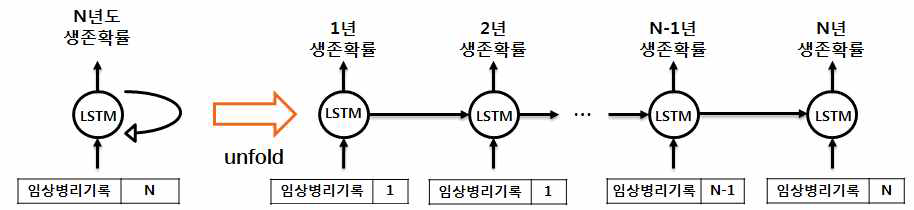 MLP 모델 분석 흐름도