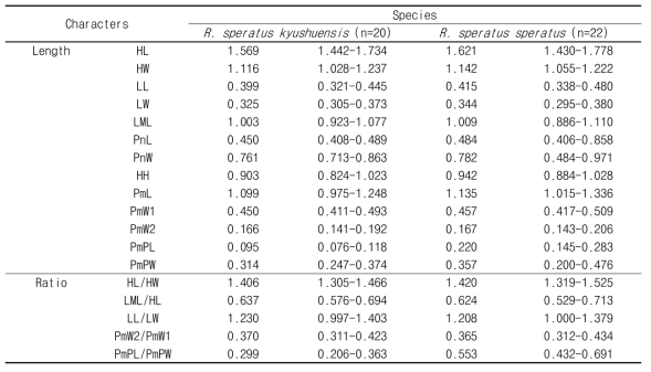 R. speratus kyushuensis와 R. speratus speratus의 13개 형태형질들에 대한 크기측정