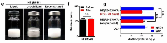 면역활성화 물질을 함유한 에멀젼 기반 아주번트 NE(R848)의 동결건조 전/후 비교