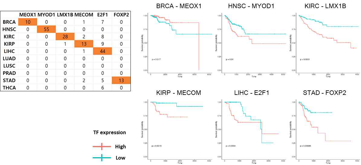 각 암종에 대한 specific cancer TF들과 해당 암종의 생존율의 상관관계 분석 결과