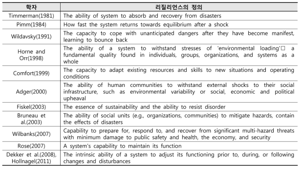 연구자별 리질리언스에 대한 정의