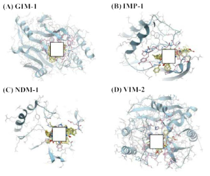 Docking-predicted binding modes of (A) GIM-1, (B) IMP-1, (C) NDM-1, and (D) VIM-2 with 26 compounds throughout the covalent-based screening