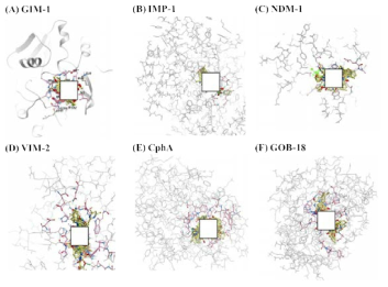 Docking-predicted binding modes of (A) GIM-1, (B) IMP-1, (C) NDM-1, (D) VIM-2, (E) CphA, and (F) GOB-18 with 50 compounds throughout the high-throughput screening
