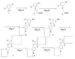 Synthesis of DRPL-1015