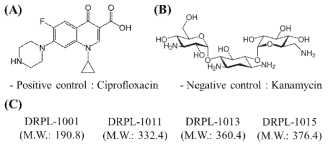 (A) Ciproflxacin (positive control) and (B) kanamycin (negative control), and (C) four novel inhibitors were used to analyze permeability of Gram-negative outer membrane (E. coli clinical isolate harboring blaNDM-1)