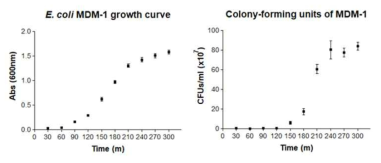 Growth and CFU curves of E. coli clinical isolate harboring blaMDM-1