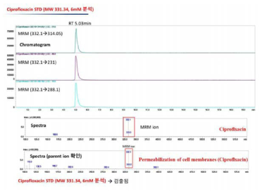 Analysis of Gram-negative outer membrane (E. coli harboring blaNDM-1) permeability for ciproflxacin (positive control)