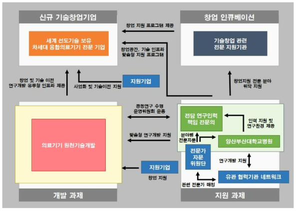 성공적 기술창업기업 도약을 위한 유기체계