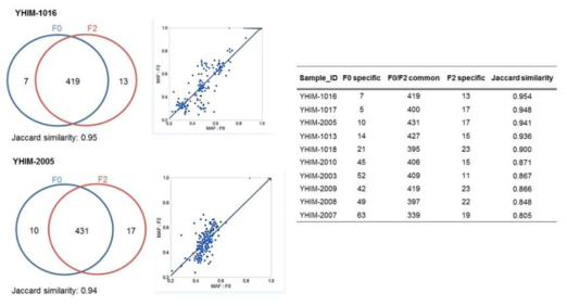 환자 종양 (F0)와 NSCLC PDTX (F2) 종양간의 유전자 변이를 Targeted deep sequencing (A, B) 및 Onocomine panel과 분자 진단 testing을 이용한 mutation status 변이 확인(C)