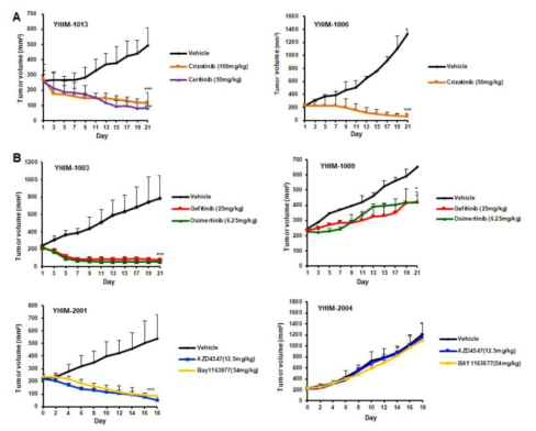 NSCLC PDTX 동물모델에서 Crizotinib (100 mg/kg), Ceritinib (50 mg/kg), Gefitinib (25 mg/kg), Ostimertinib (6.25 mg/kg), AZD4547 (12.5 mg/kg) 과 Bay1163877 (4 mg/kg)를 이용하여 종양의 크기에 미치는 영향