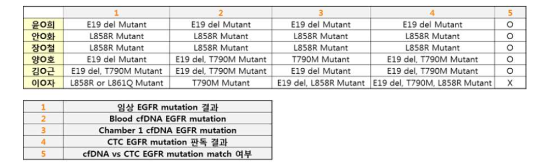 cfDNA와 CTC genomic DNA의 EGFR mutation 비교 검증