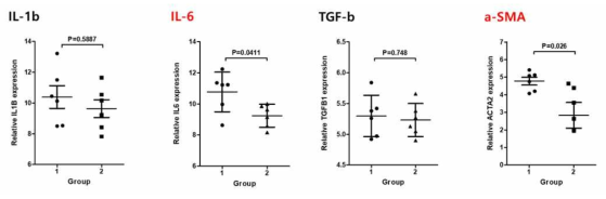 qPCR 통한 염증 관련 mRNA 발현 비교