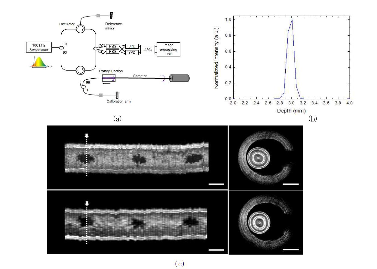 (a) 200kHz A-scan rate OCT 시스템 구성도, (b) axial point spread function, (c)200 frames/s OCT 장비에서 도출된 longitudinal cutaway image (20 & 40mm/s pullback 영상)