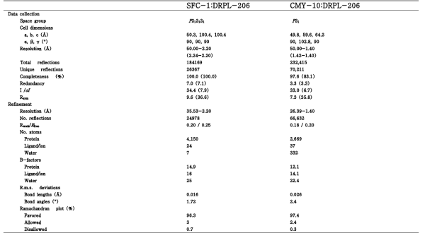 Data collection and refinement statistics of SFC-1:DRPL-206 and CMY-10:DRPL-206. Values in parentheses are for highest-resolution shell