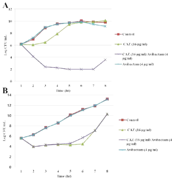 Time-kill curves of synergistic combination of avibactam-ceftazidime (Avycaz) against (A) E. coli TOP10 (SFC-1) and (B) E. aerogenes K9911729 clinical isolate (CMY-10)