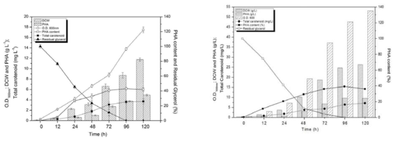 Cell growth and PHA production by batch culture of in fermentor