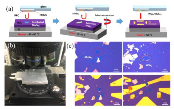 픽업 전사 (pick-up transfer) 방식을 개발하여, WSe2와 MoSe2를 Si/SiO2 기판위에 전사하는 과정. (a) 전사 과정의 모식도로 2차원 물질을 하나씩 들어 올리는 방법으로 진행됨. (b) 현미경 시료 stage 위에 설치된 전사 셋업의 사진. (c) 실리콘 기판의 SiO2 위에 전사된 WSe2와 MoSe2의 광학현미경 이미지