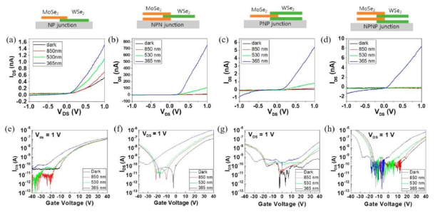 다양한 구조를 갖는 이종 접합 소자들을 제작하고 IV 특성 및 전달 곡선을 측정함. (a, e) NP, (b, f) NPN, (c, g) PNP 및 (d, h) NPNP 소자를 측정함. (a-d) IV 곡선은 0의 back gate 전압에서 측정됨. (e-h) 전도도는 백 게이트 전압을 바꿔가며 측정됨. 이상의 네 가지 구조에서 어두운 조건과 밝은 조건에서 다른 구조와 비교한 결과, NPN 구조는 가장 높은 광전류 값을 나타냄