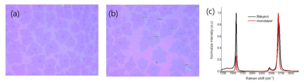 (a-b) 그래핀의 성장 상태를 확인하기 위해서 실리콘 기판위에 그래핀을 전사시키고, (c) 라만 분광 스펙트럼을 통해서 층수를 확인한 결과임