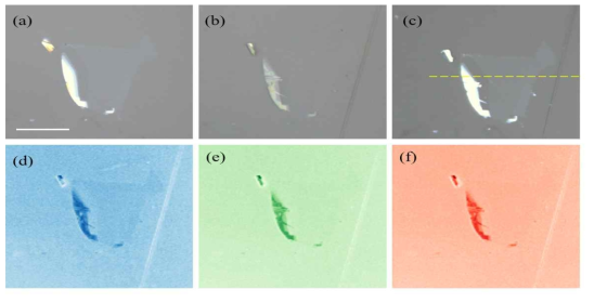 PMMA/PVA로 코팅된 기판위에 박리시킨 hBN의 광학현미경 이미지: (a) 유리기판, (b) 실리콘 기판, 그리고 (c) PDMS 기판 위에 박리된 hBN을 백색광으로 100배율과 수차 0.9의 대물렌즈를 이용하여 측정함. (scale bar는 20μm), 백색광의 이미지를 분광하여 (d) 파란색, (e) 초록색, 그리고 (f) 빨간색 성분만 추출한 이미지 (scale bar는 10μm임)