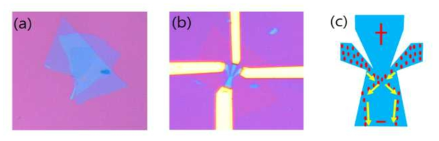 (a) 캡슐화된 그래핀의 광학현미경 이미지, (b) 제작된 탄도성 소자의 광학이미지에서 edge contact을 하고 있는 Cr/Au (두께5/90nm)의 전극을 보여줌. (c) 탄도성 소자의 전자가 움직이는 궤적을 도식적으로 보여줌. 양쪽 전극에 ac 전류를 인가하면, 전자가 양쪽에서 사선 방향으로 움직임으로서, 벽면에 반사되어 아래쪽으로 이동하는 과정으로 전자가 쌓이는 아래쪽은 음의 포텐샬, 위쪽은 양의 포텐셜을 갖게 됨