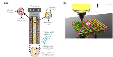 간블록 제작을 위한 콜라겐/알지네이트 기반의 간블럭 모식도